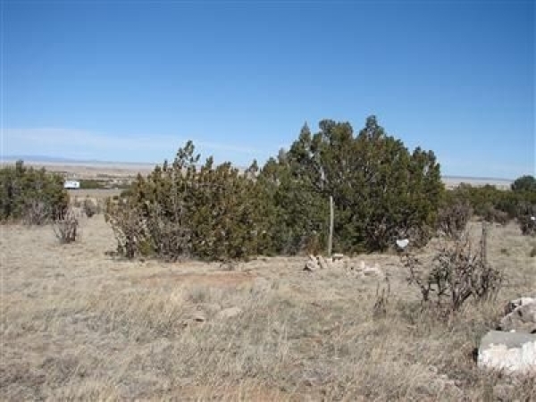 Listing Image #3 - Land for sale at 0 US ROUTE 66, Edgewood NM 87015