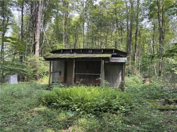Listing Image #2 - Land for sale at Hall Road, Russia NY 13324