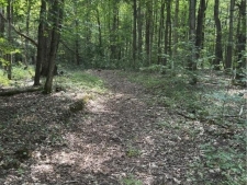 Listing Image #3 - Land for sale at Hall Road, Russia NY 13324