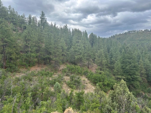 Listing Image #2 - Land for sale at 17235 Hwy 160, Durango CO 81301