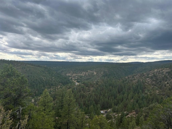 Listing Image #3 - Land for sale at 17235 Hwy 160, Durango CO 81301