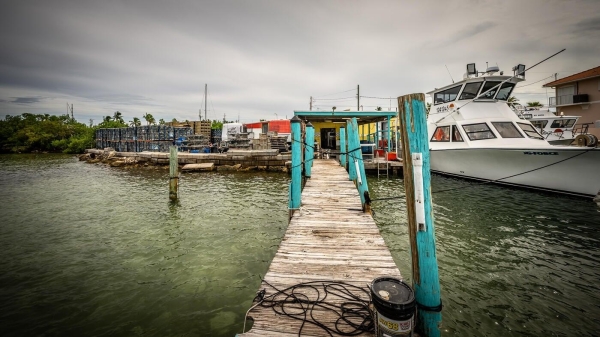 Listing Image #2 - Others for sale at 15 Seaview Avenue, Conch FL 33050