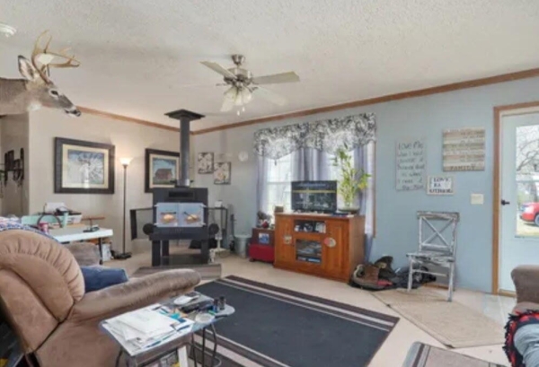 Listing Image #3 - Others for sale at 19728 Lawrence 1202, Aurora MO 65605