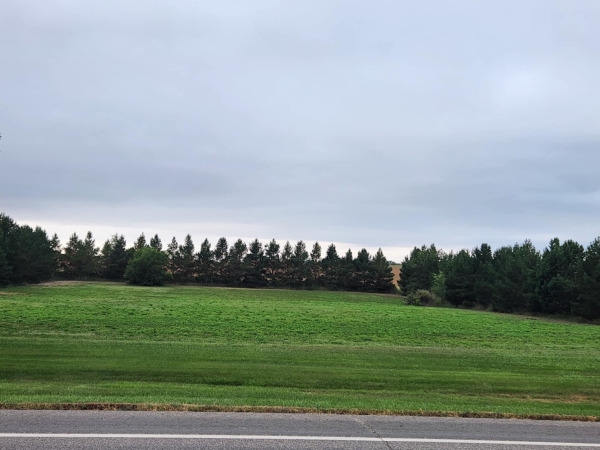 Listing Image #1 - Land for sale at LOT 3 BLK 1 W Hwy 37 W, Garrison ND 58540
