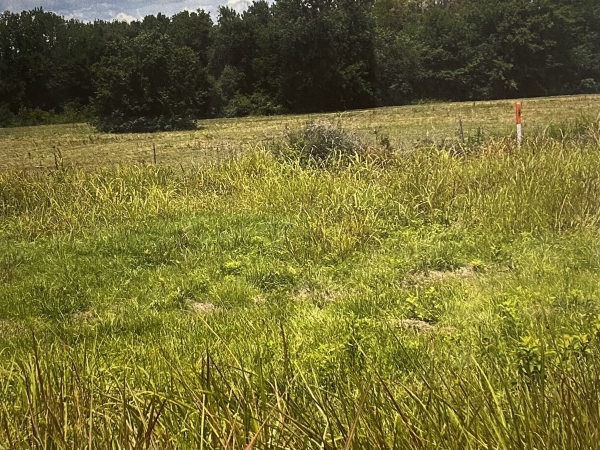 Listing Image #3 - Land for sale at 3110 Cavanaugh Rd., Fort Smith AR 72908 Listing Image #3 - Land for sale at 3110 Cavanaugh Rd., Fort Smith AR 72908