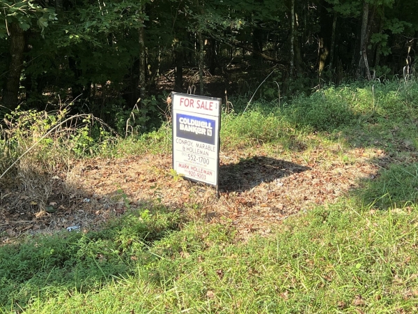 Listing Image #2 - Land for sale at 3 Jarrell Ridge Rd, Clarksville TN 37043