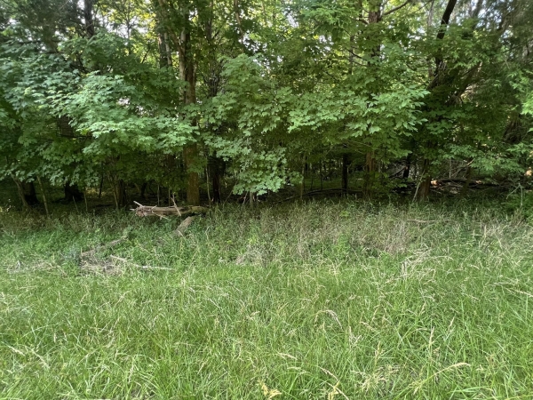 Listing Image #3 - Land for sale at 3 Jarrell Ridge Rd, Clarksville TN 37043
