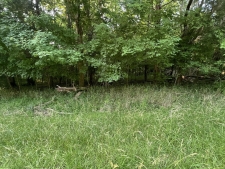 Listing Image #3 - Land for sale at 3 Jarrell Ridge Rd, Clarksville TN 37043