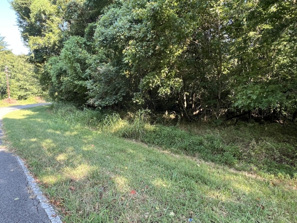 Listing Image #3 - Land for sale at 7 Jarrell Ridge Rd, Clarksville TN 37043