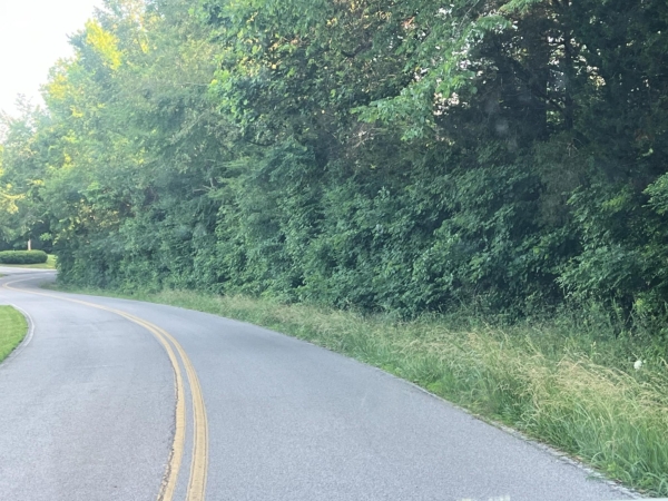 Listing Image #3 - Land for sale at 1 Jarrell Ridge Rd, Clarksville TN 37043