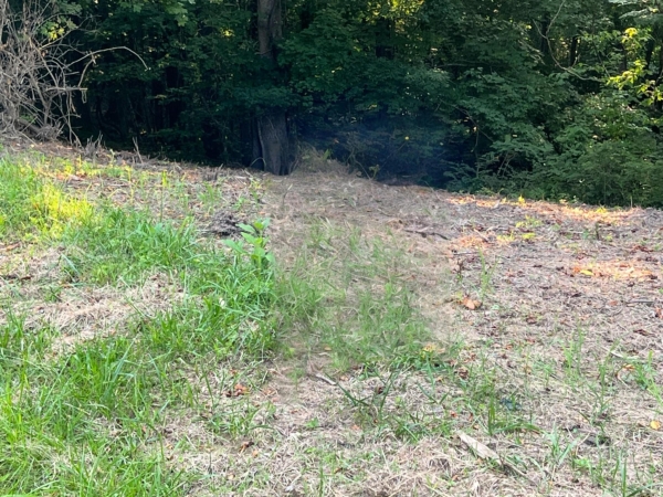 Listing Image #2 - Land for sale at 2 Jarrell Ridge Rd, Clarksville TN 37043