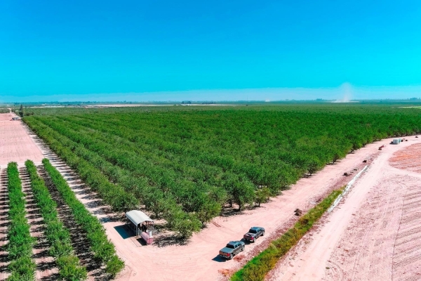 Listing Image #3 - Land for sale at 10511 White Crane Road, Atwater CA 95301