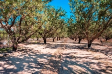 Listing Image #2 - Land for sale at 10511 White Crane Road, Atwater CA 95301