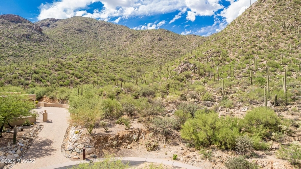 Listing Image #2 - Land for sale at 15285 N Silent Vista Court, Marana AZ 85658