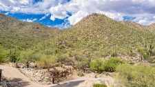 Land property for sale in Marana, AZ