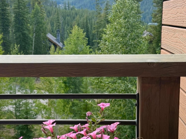 Listing Image #3 - Multi-family for sale at 301 RESERVE Way, Winter Park CO 80482