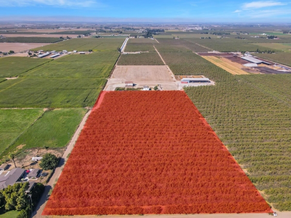 Listing Image #1 - Land for sale at S Walnut Road, Turlock CA 95380