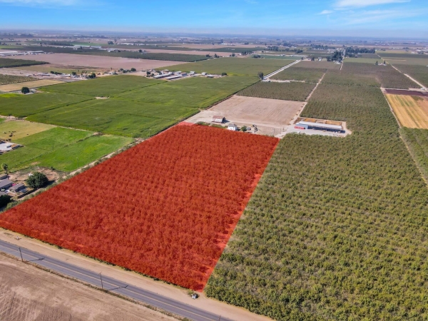 Listing Image #2 - Land for sale at S Walnut Road, Turlock CA 95380