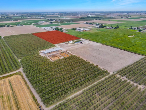Listing Image #3 - Land for sale at S Walnut Road, Turlock CA 95380