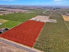 Listing Image #2 - Land for sale at S Walnut Road, Turlock CA 95380