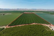 Land for sale in Newman, CA