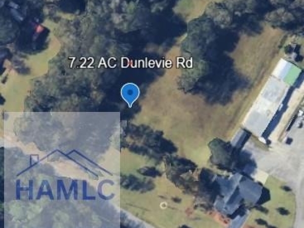 Listing Image #2 - Land for sale at 7.22 AC Dunlevie Road, Allenhurst GA 31301
