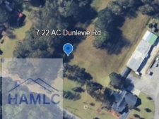 Listing Image #2 - Land for sale at 7.22 AC Dunlevie Road, Allenhurst GA 31301