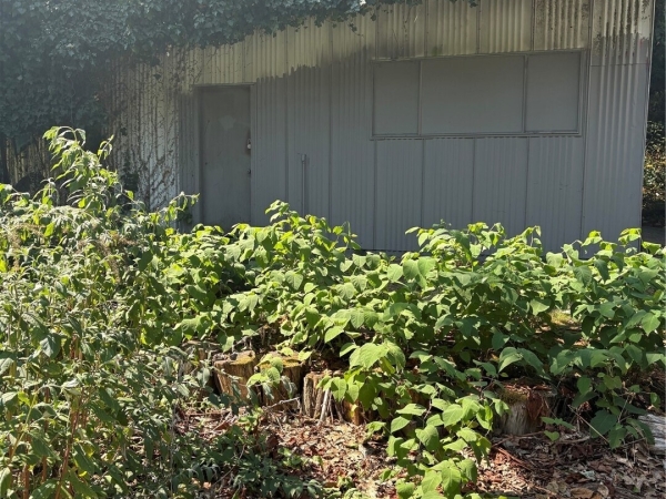 Listing Image #3 - Industrial for sale at 2121 Aurora Avenue, Seattle WA 98109