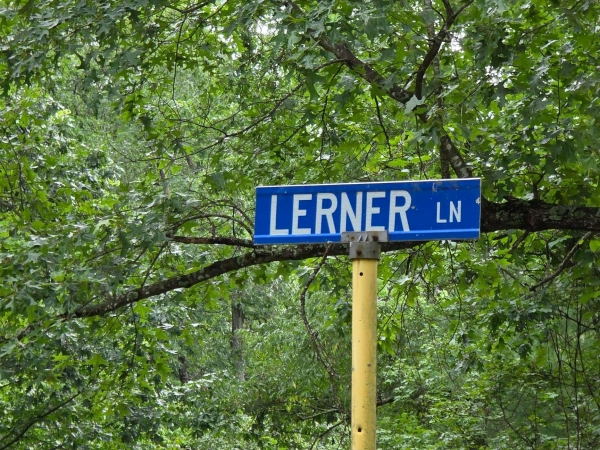 Listing Image #2 - Others for sale at Lerner Ln, Basye VA 22810