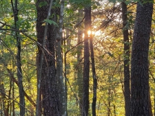 Others property for sale in Basye, VA