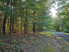 Listing Image #3 - Others for sale at Lerner Ln, Basye VA 22810
