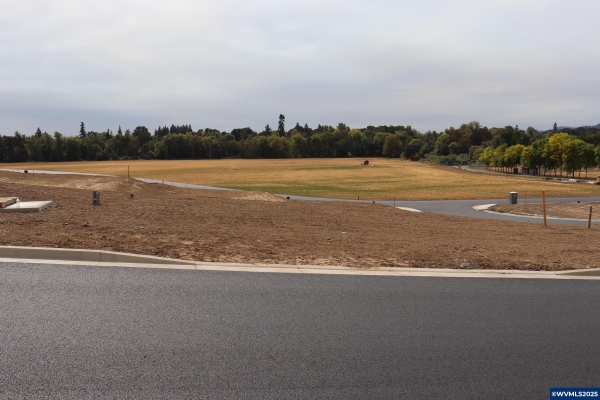 Listing Image #2 - Land for sale at Lot 3 Bloc Grant St W, Carlton OR 97111