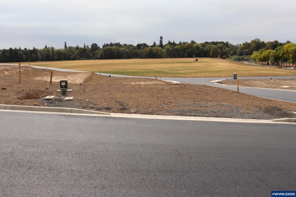 Listing Image #2 - Land for sale at Lot 4 Bloc Grant St W, Carlton OR 97111