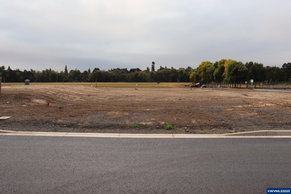 Listing Image #2 - Land for sale at Lot 3 Bloc Grant St W, Carlton OR 97111