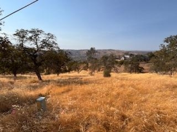 Listing Image #1 - Others for sale at 1510 Lilley Mountain, Coarsegold CA 93614