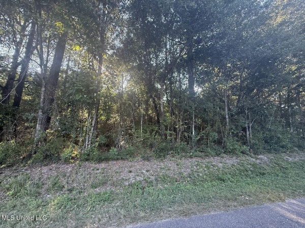 Listing Image #3 - Land for sale at N Pine Drive, Pass Christian MS 39571
