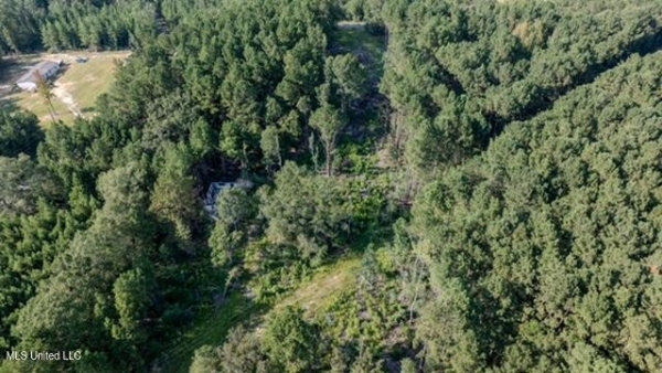 Listing Image #3 - Land for sale at 174 Pap Armstrong Road, Wiggins MS 39577