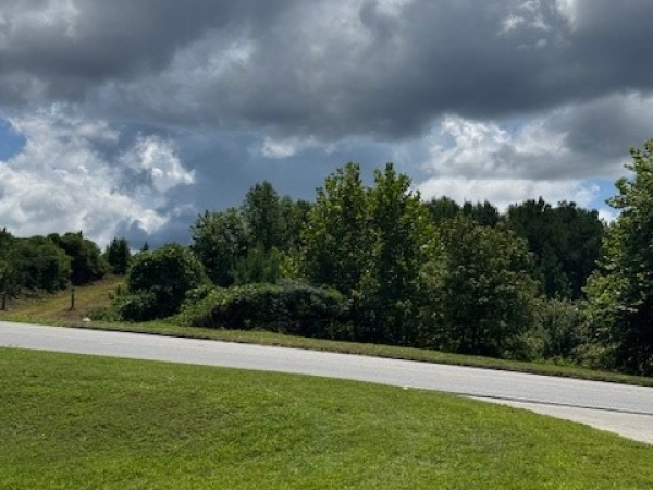Listing Image #2 - Others for sale at 0 Howard Simmons Road, Ellijay GA 30540