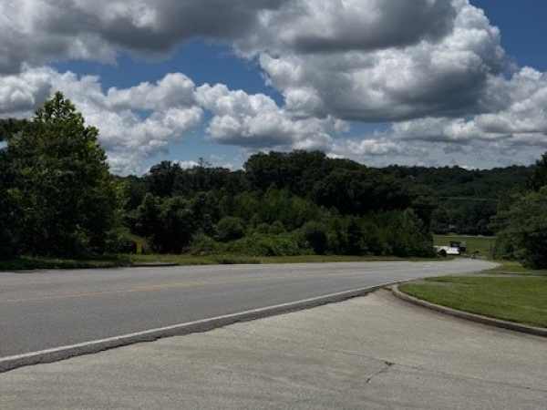 Listing Image #3 - Others for sale at 0 Howard Simmons Road, Ellijay GA 30540