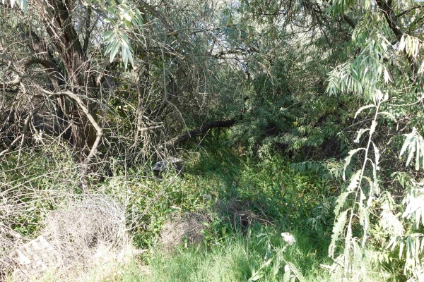 Listing Image #3 - Land for sale at 1930 Jericho Rd, Richland WA 99352