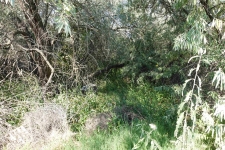 Listing Image #3 - Land for sale at 1930 Jericho Rd, Richland WA 99352