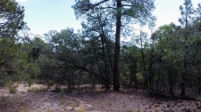 Listing Image #2 - Others for sale at 5 La Miranda, Tijeras NM 87059