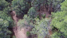 Listing Image #3 - Others for sale at 5 La Miranda, Tijeras NM 87059