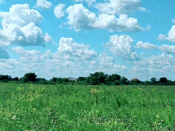 Listing Image #2 - Land for sale at 30250 S. Cottage Grove Ave, Beecher IL 60401