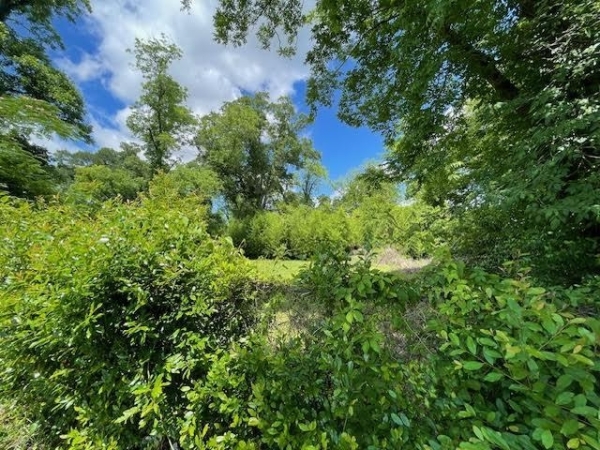 Listing Image #3 - Others for sale at 102 East Rd, Albany GA 31705