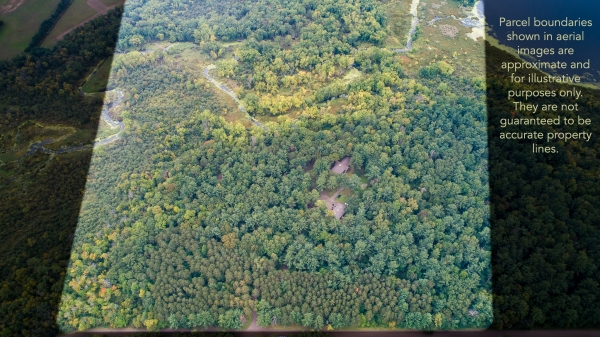 Listing Image #3 - Resort for sale at 1680 373rd Avenue NE, Stanchfield MN 55080