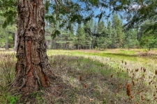 Listing Image #1 - Land for sale at 13824 Baker Road, Camptonville CA 95922