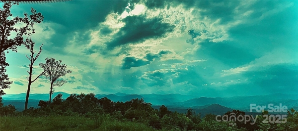 Listing Image #3 - Others for sale at 0 The Falls Road, Union Mills NC 28167