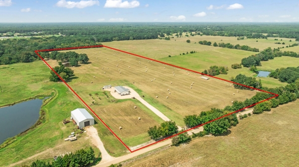 Listing Image #2 - Land for sale at 1750 County Road 34430, Sumner TX 75486