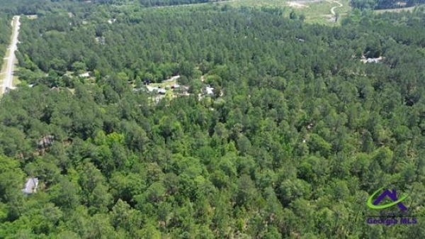 Listing Image #3 - Land for sale at 57.32 acres Rock Hill Road, Cochran GA 31014